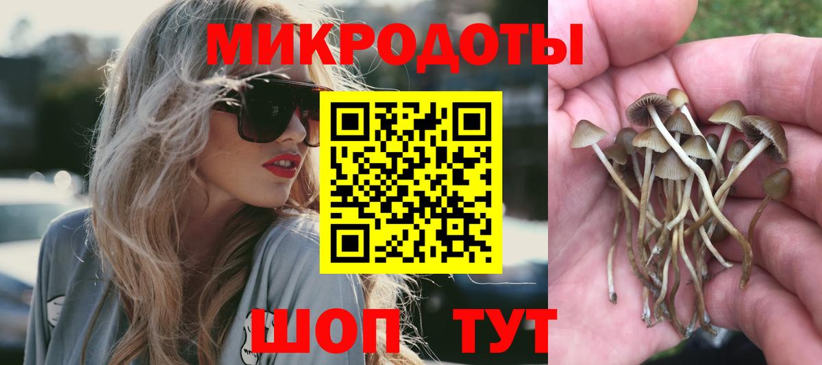 Псилоцибиновые грибы Psilocybe  Вход с VPN  Елизово 