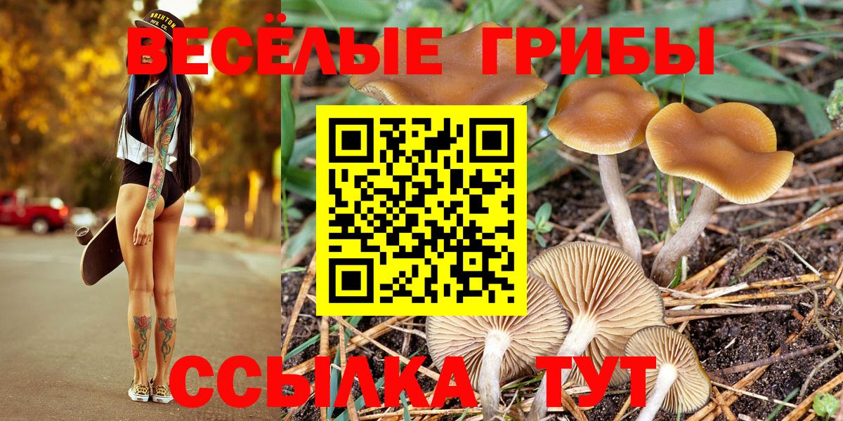 Псилоцибиновые грибы Magic Shrooms Елизово